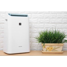 Máy lọc không khí Sharp Cao Cấp DW-E16FA-W (< 38m2, PM 2.5, Hút Ẩm)